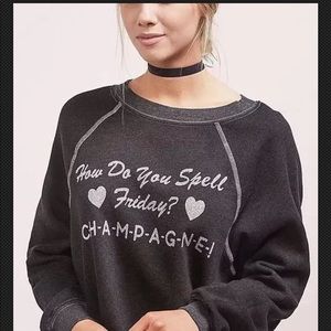 $104 Wildfox CHAMPAGNE Friday Sweatshirt Small M